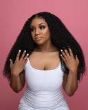 Kinky Curly HD Wig